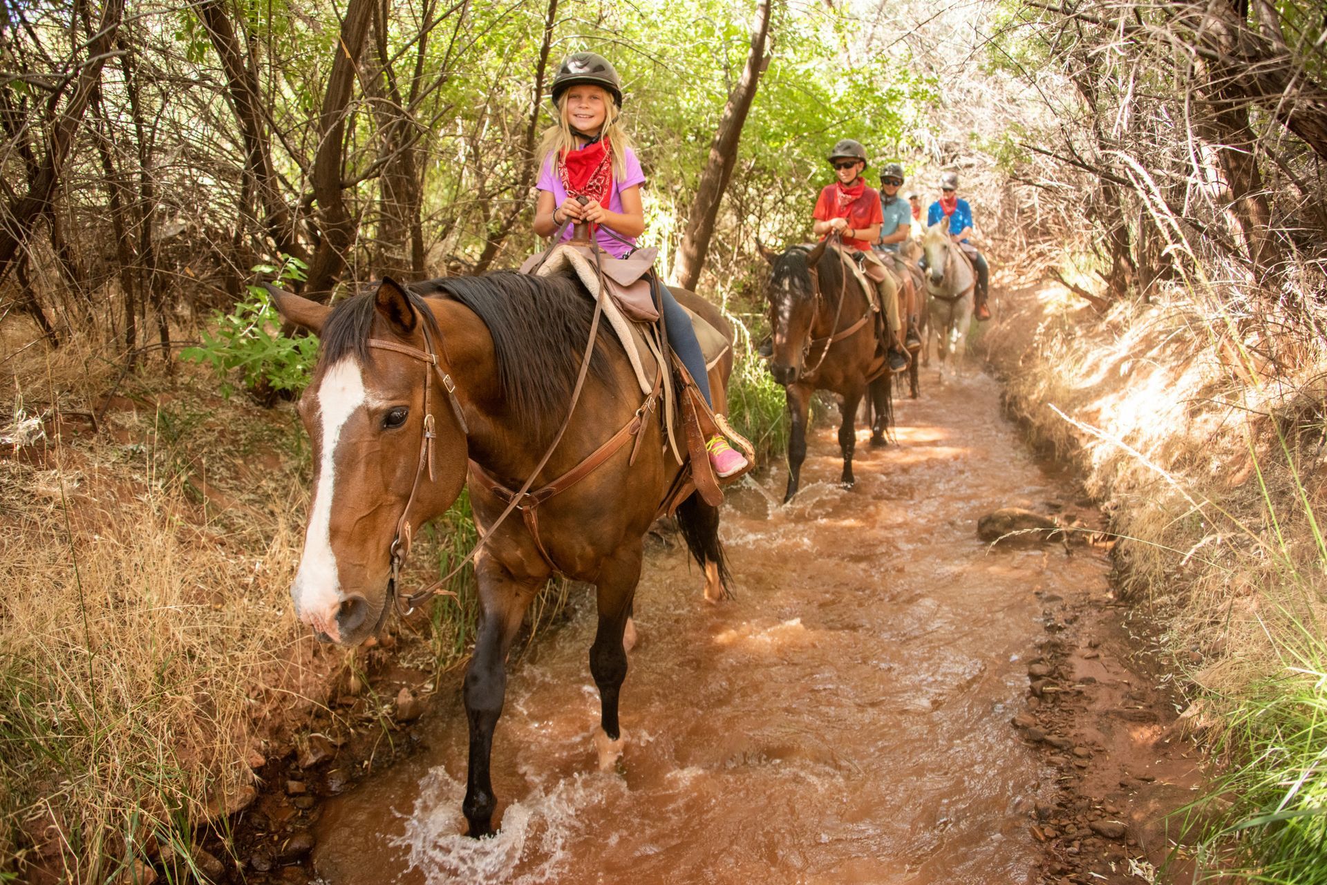 Horses walking through shallow creek