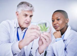 Two scientists in lab coats examining a plant sample in a petri dish.
