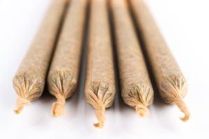 Five tightly rolled, pre-filled hemp cigarettes, arranged on a white surface.