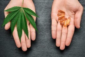 Hands holding a cannabis leaf and capsules, on a dark surface.