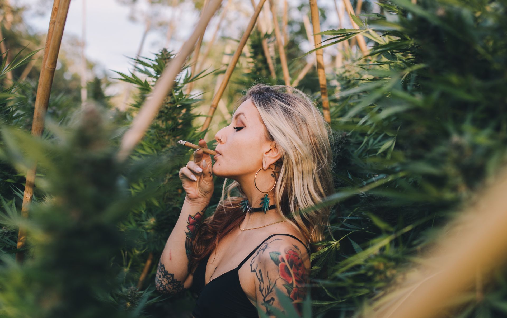 Woman smoking a cannabis cigarette in a field of marijuana plants. She has tattoos and is wearing a black top.