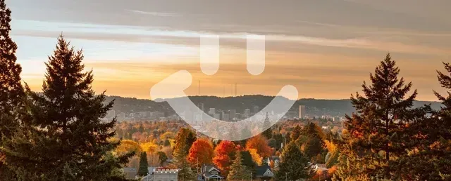 Autumnal landscape with trees in the foreground, a distant city, and an orange sky.