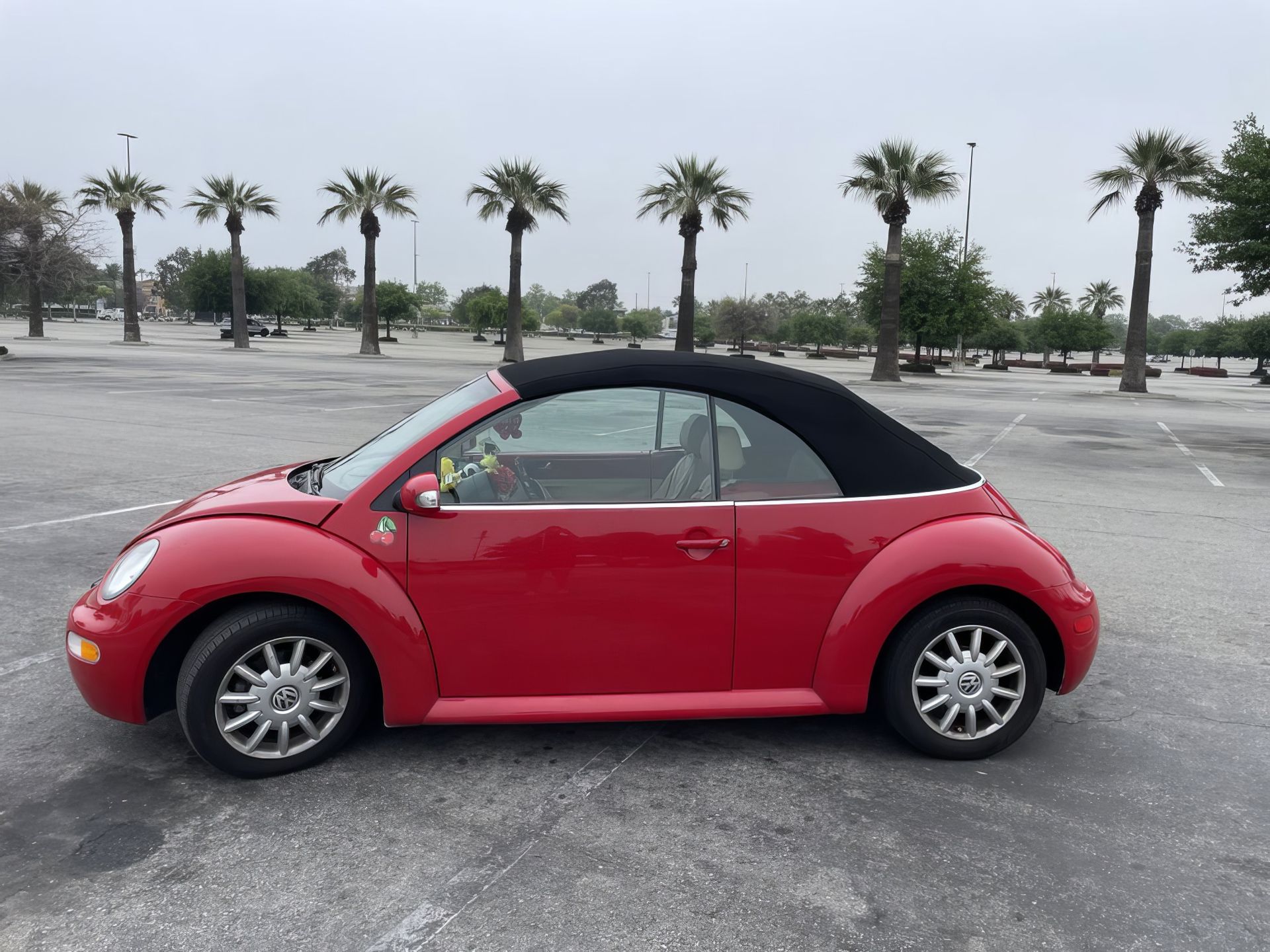 Red compact car parked on an open lot with palm trees in the background.