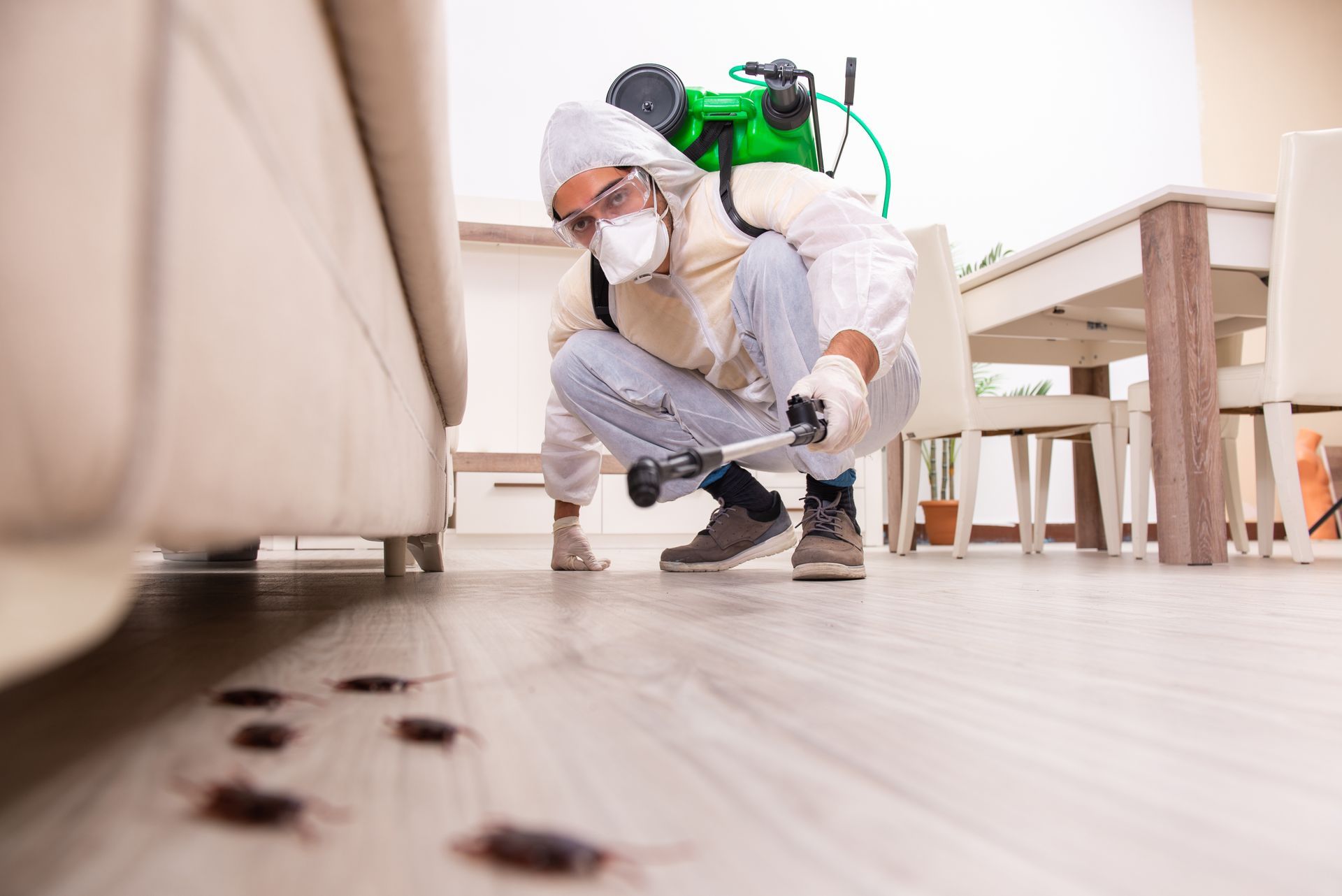 DISINFEZIONI