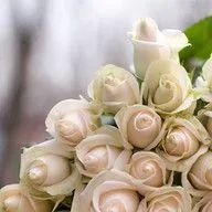 A close up of a bouquet of white roses on a table.