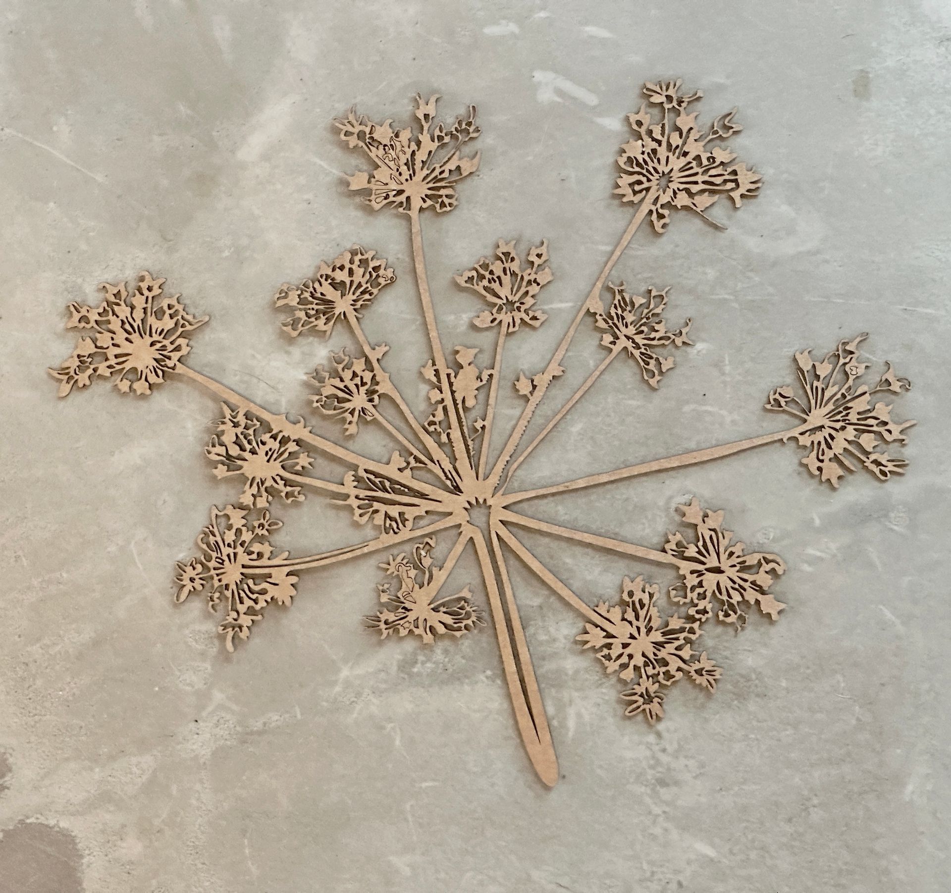 Schermbloem