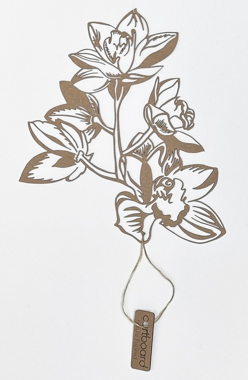 Orchidee