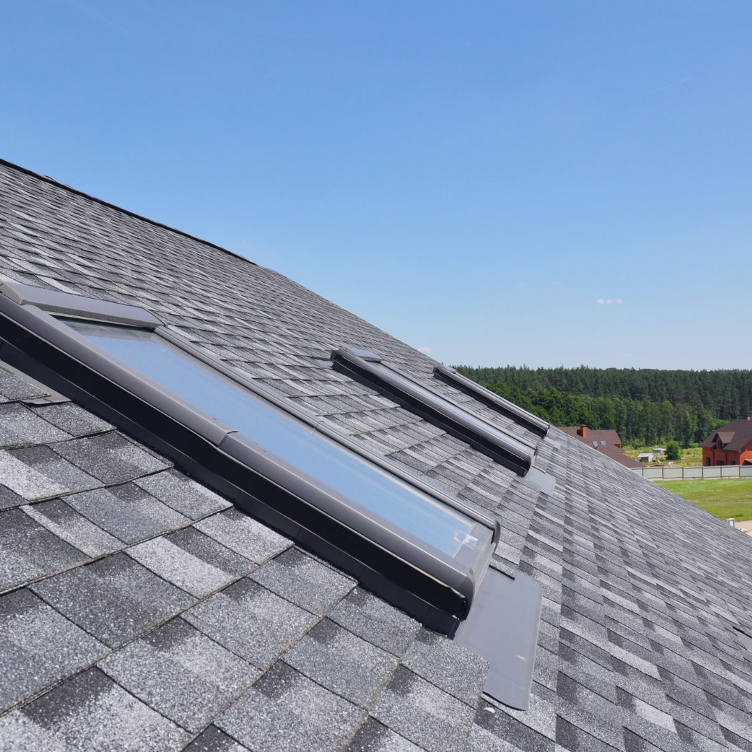 Gray shingle roof with three skylights against a blue sky and trees in the background.