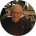 Robert Morrow