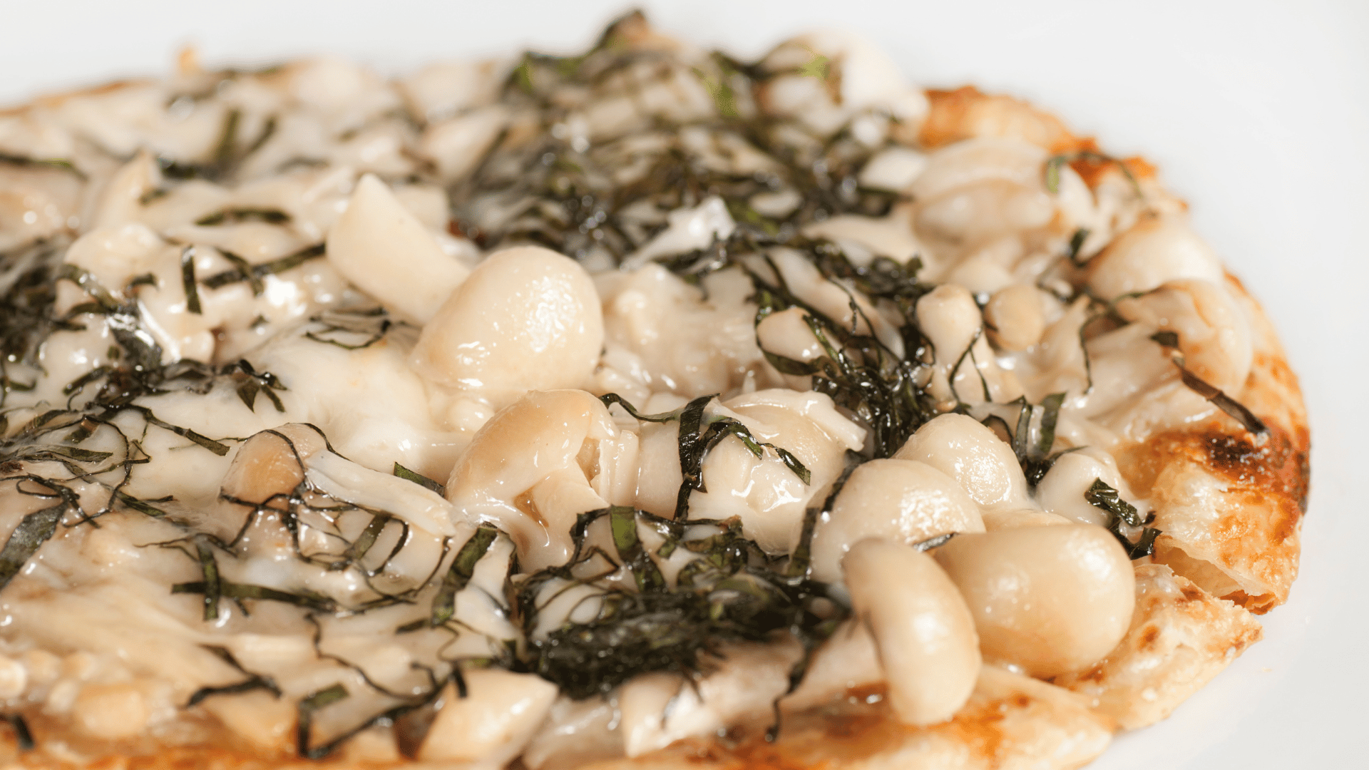 Specialty Pizza