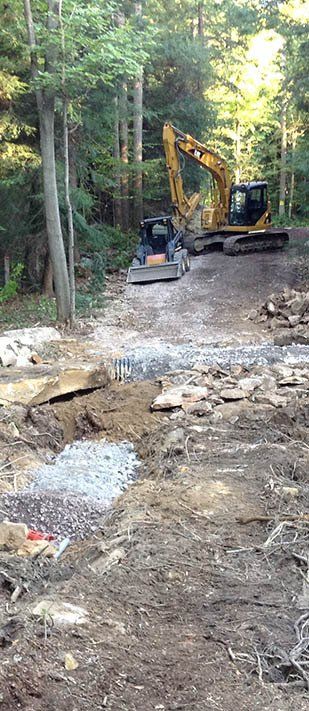 backhoe in the fprest