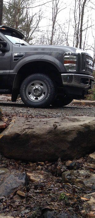half car picture in the forest