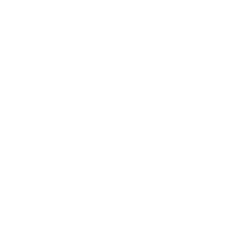 BAM Logo