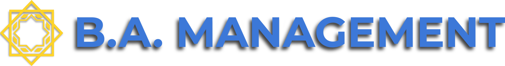 BA Management Logo