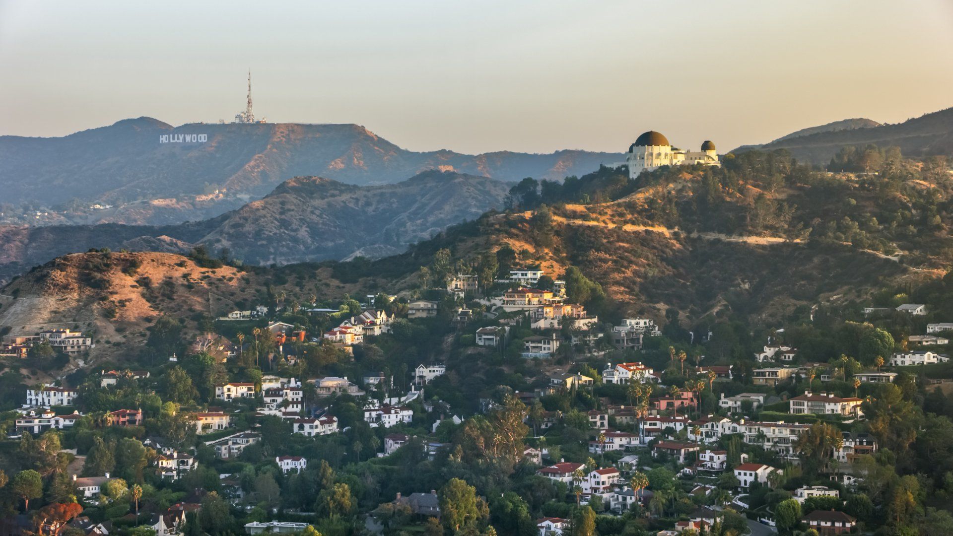 Hollywood & Adjacent