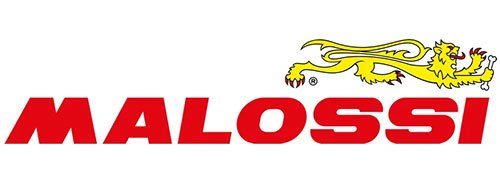 LOGO MALOSSI