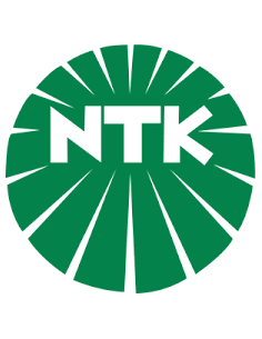 LOGO NTK