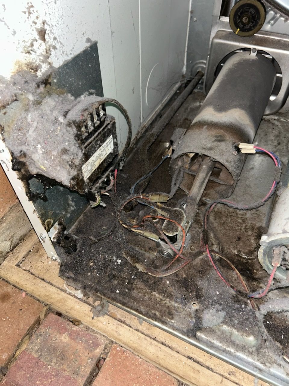 Male Technician Repairs A Washing Machine — Mingleford Electrical Airconditioning Solar & Gas In Landsborough, QLD