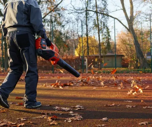 Person using a leaf blower on a leaf-covered outdoor path in autumn