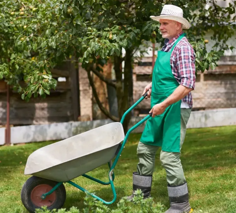 Person in green apron and hat pushing a wheelbarrow on grass in a garden.
