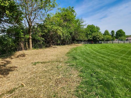 Curved trail beside green mowed grass and trees under a blue sky