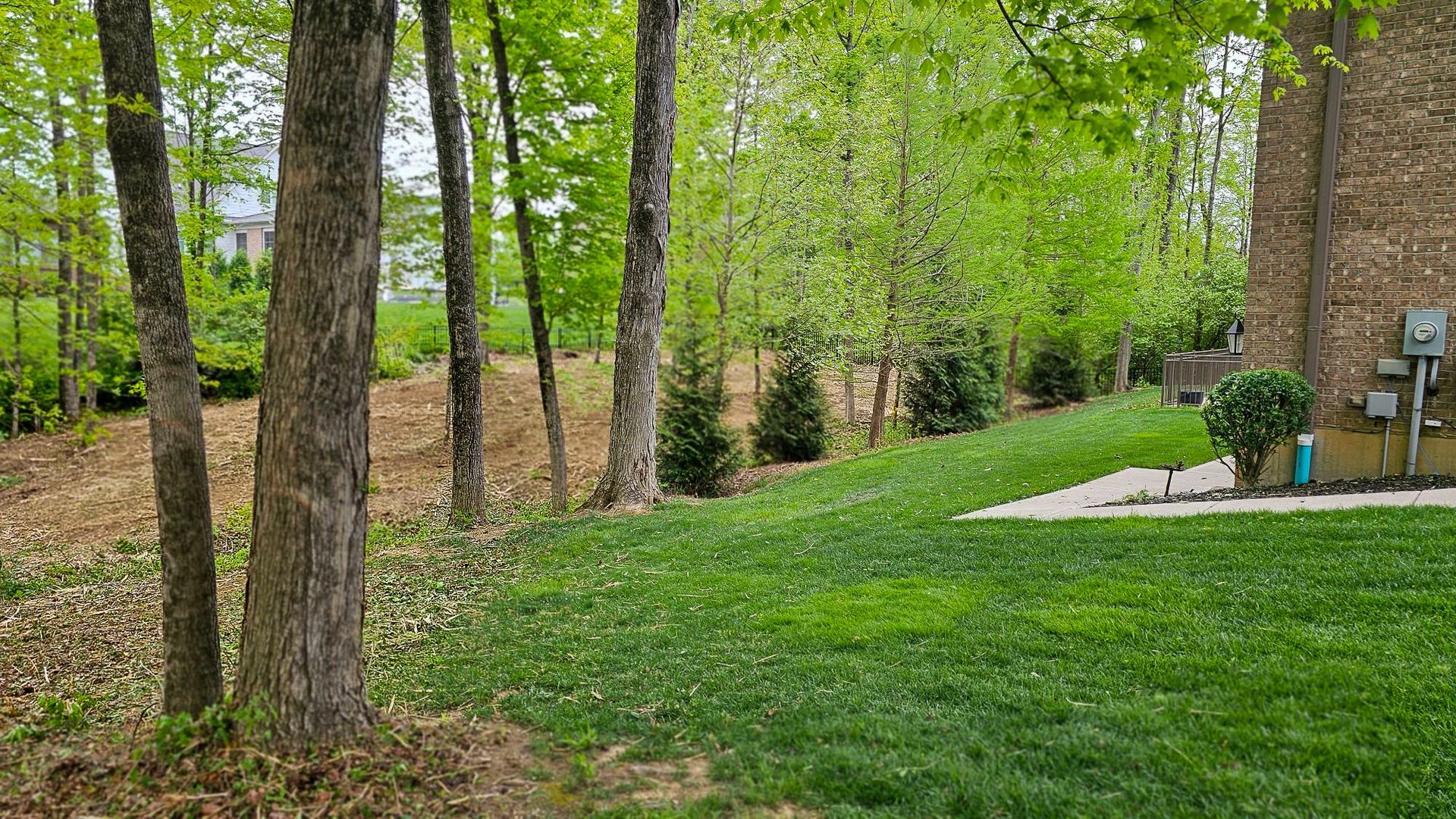 Grassy backyard with tall trees and a brick house patio at the edge