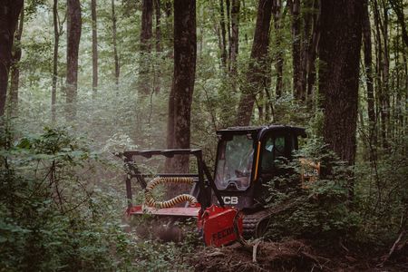 Red forestry machine in a dense green forest, partially hidden among tall trees and underbrush