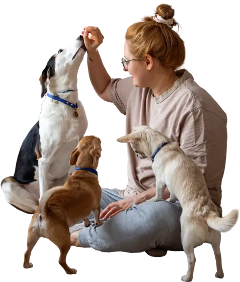 Woman Playing With Her Pets