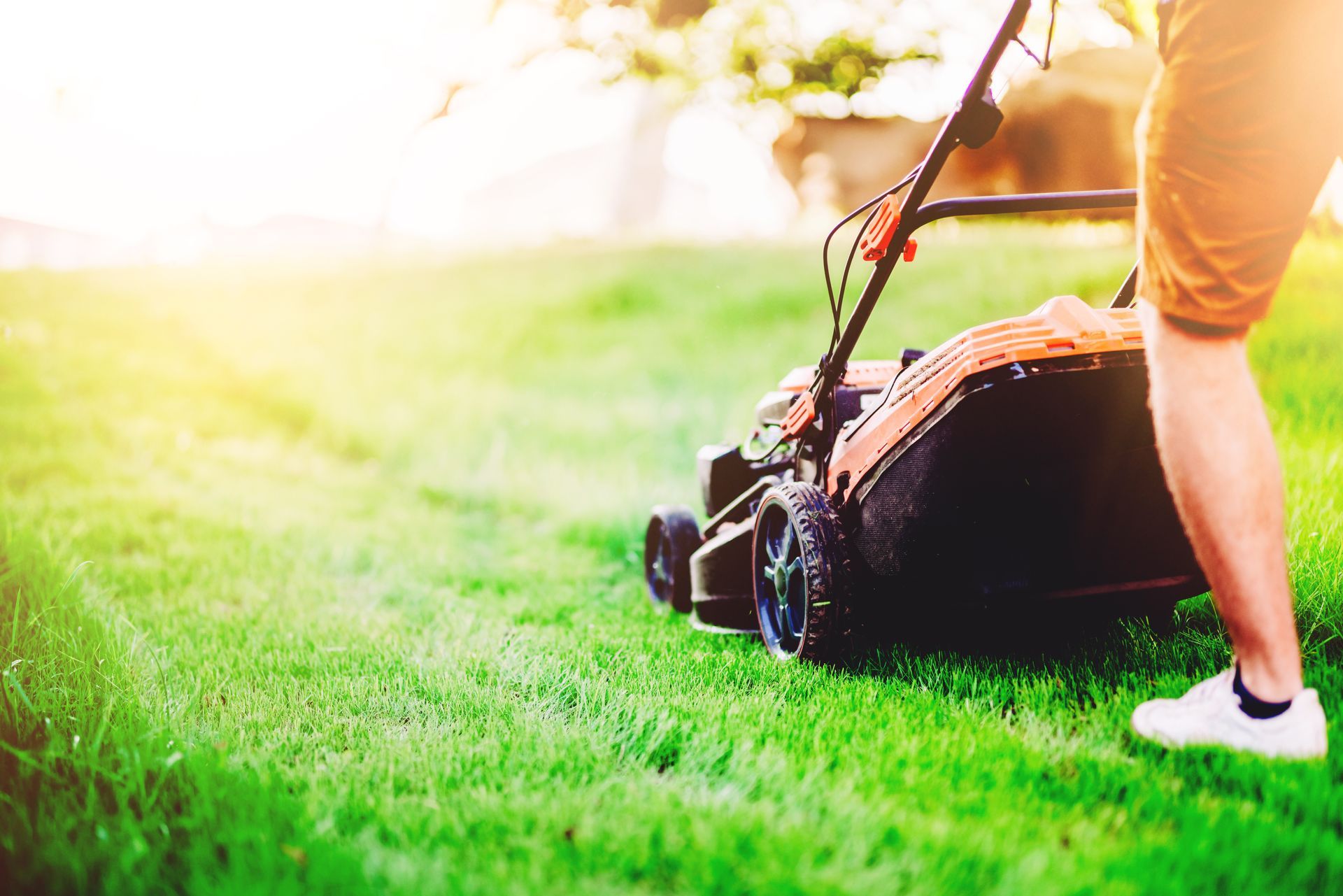 Person mowing a green lawn with an orange and black lawnmower on a sunny day.