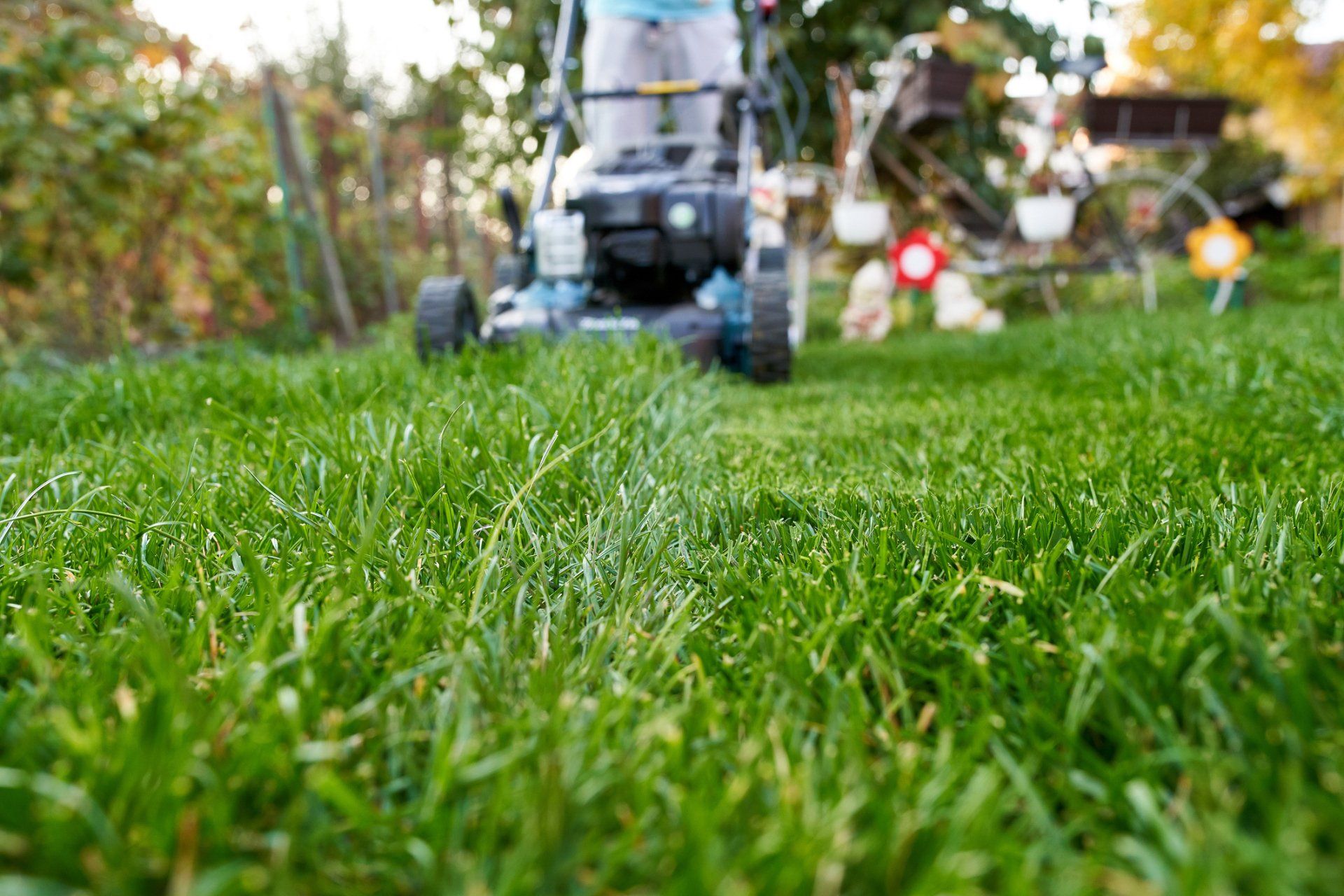 Gardening Mowing The Lawn - Drumore, PA - Tanglewood Lawn Service