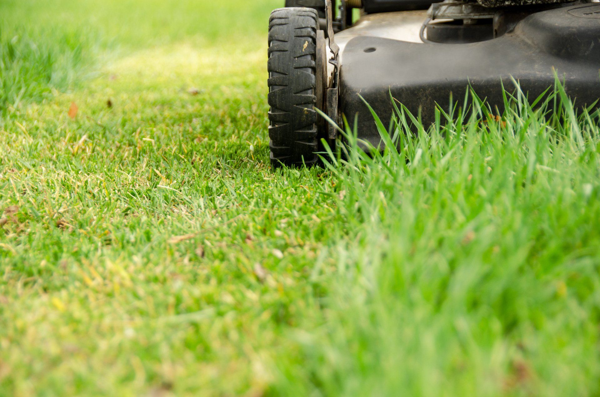 The Wheels Of Lawn Mower On Old Lawn Grass - Drumore, PA - Tanglewood Lawn Service