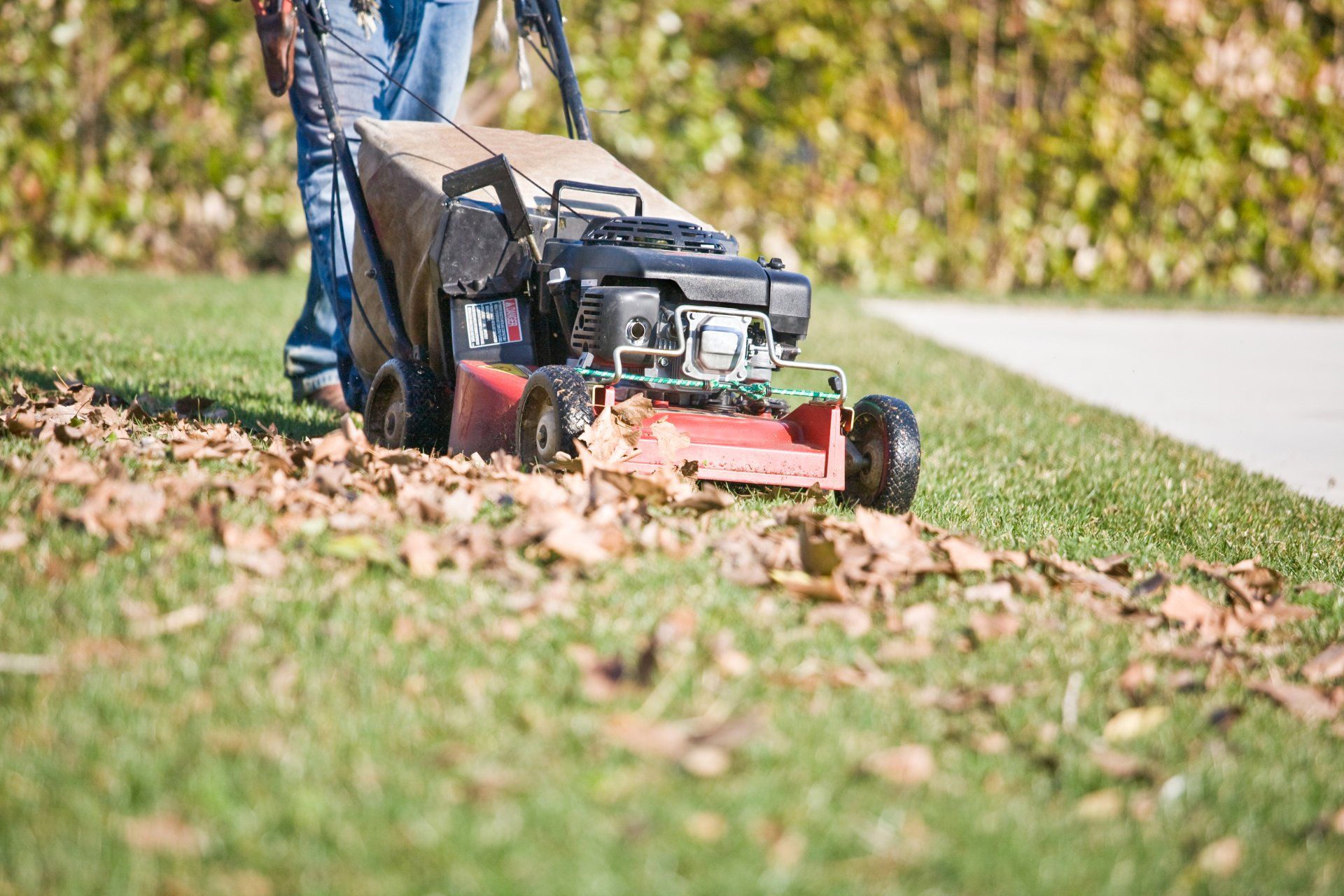 Yard Maintenance - Drumore, PA - Tanglewood Lawn Service