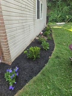 Mulched flower bed with purple and pink flowers along a house wall beside a green lawn