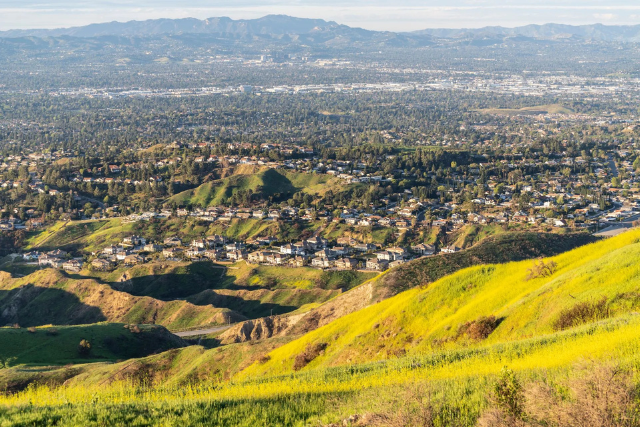 A wide view of rolling green hills in the foreground with bright yellow patches of wildflowers