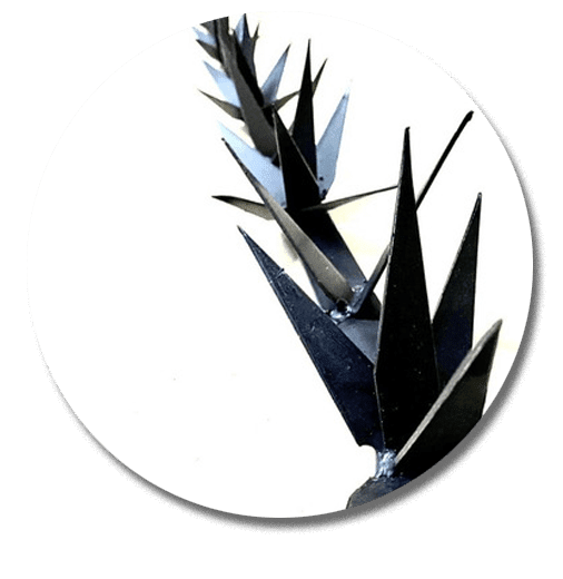 MALLA MAX - CONCERTINA