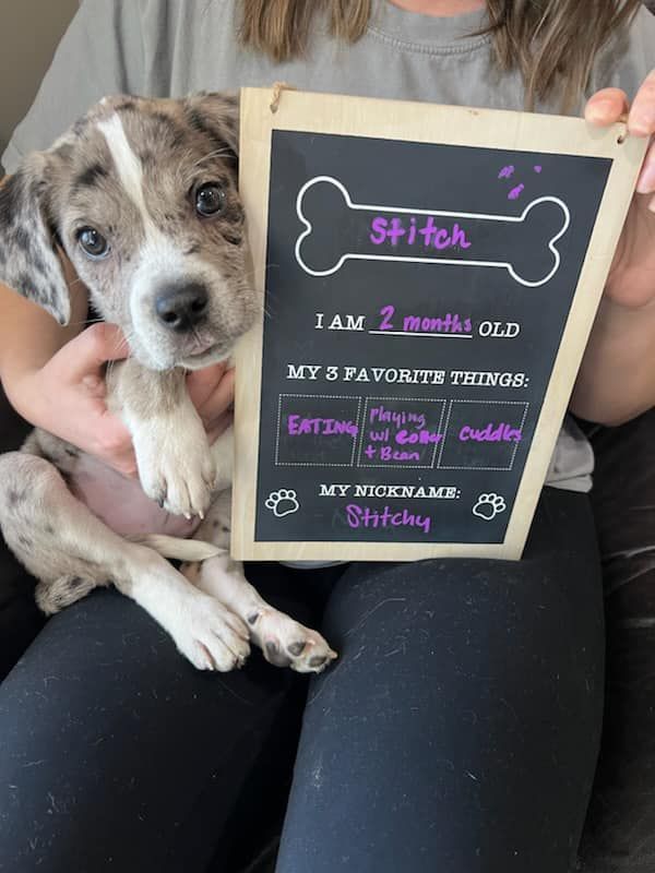 A woman is holding a puppy and a chalkboard with a bone on it.