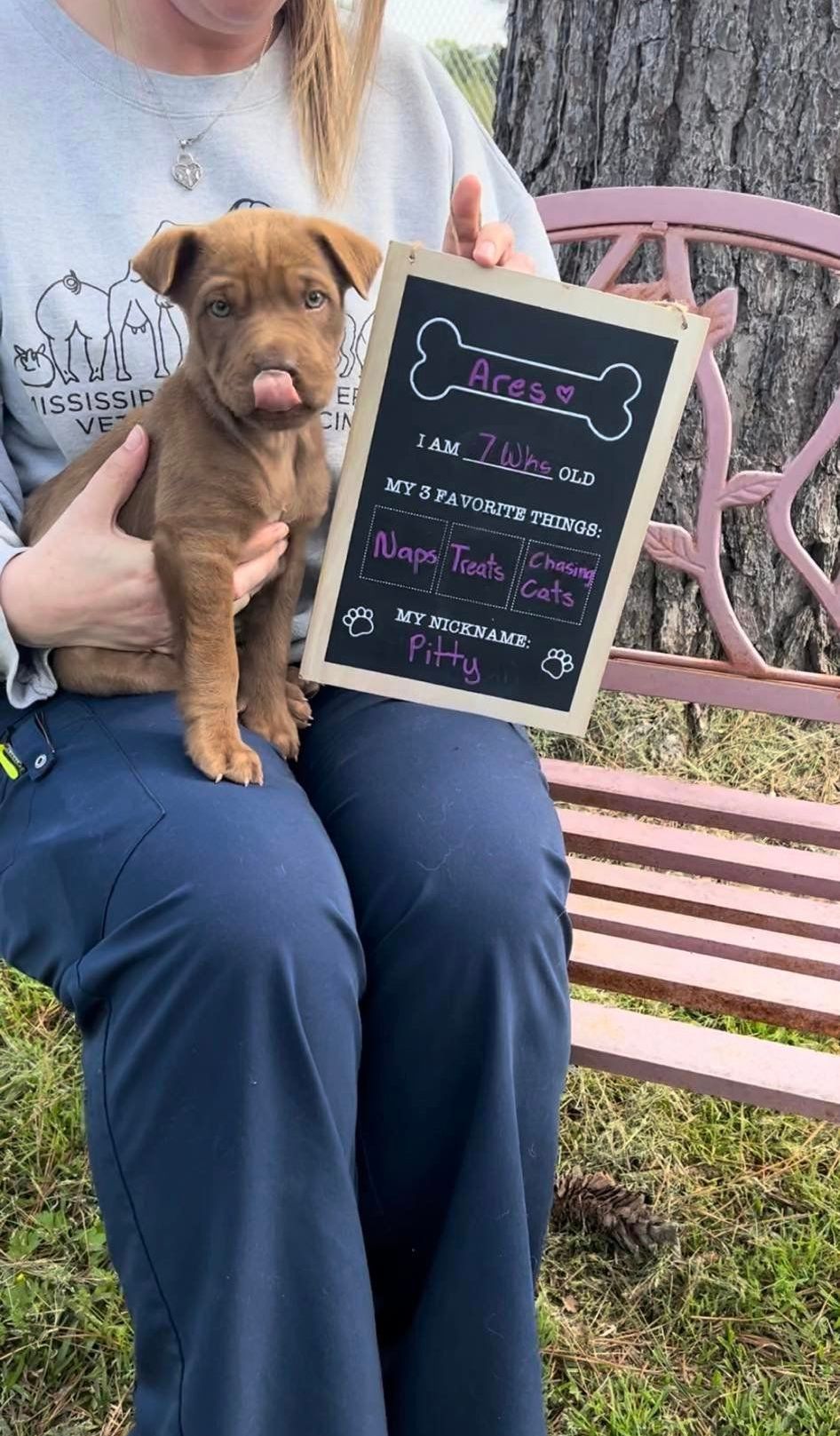 A woman is sitting on a bench holding a puppy and a chalkboard.