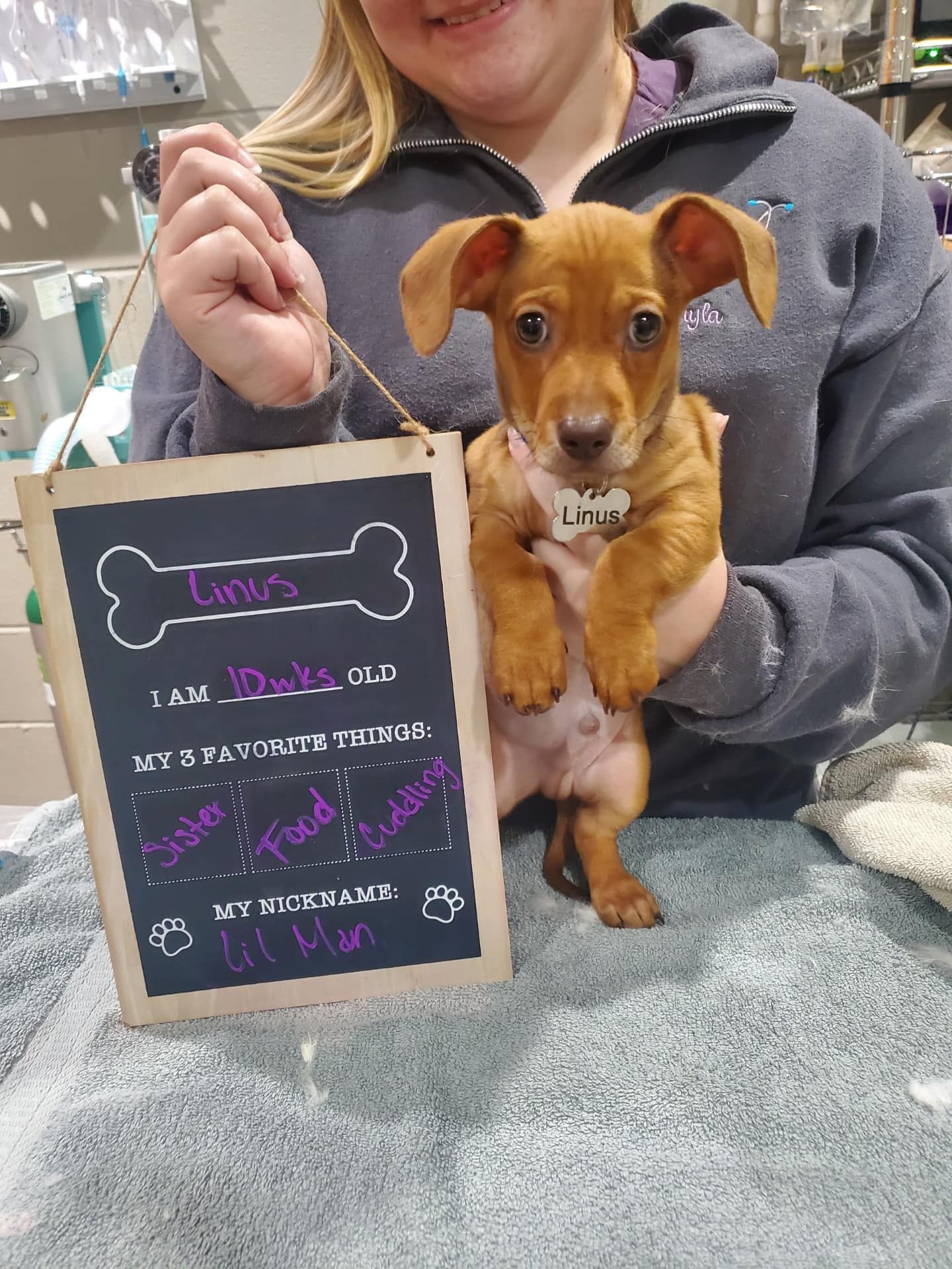 A woman is holding a puppy and a chalkboard with a bone on it.