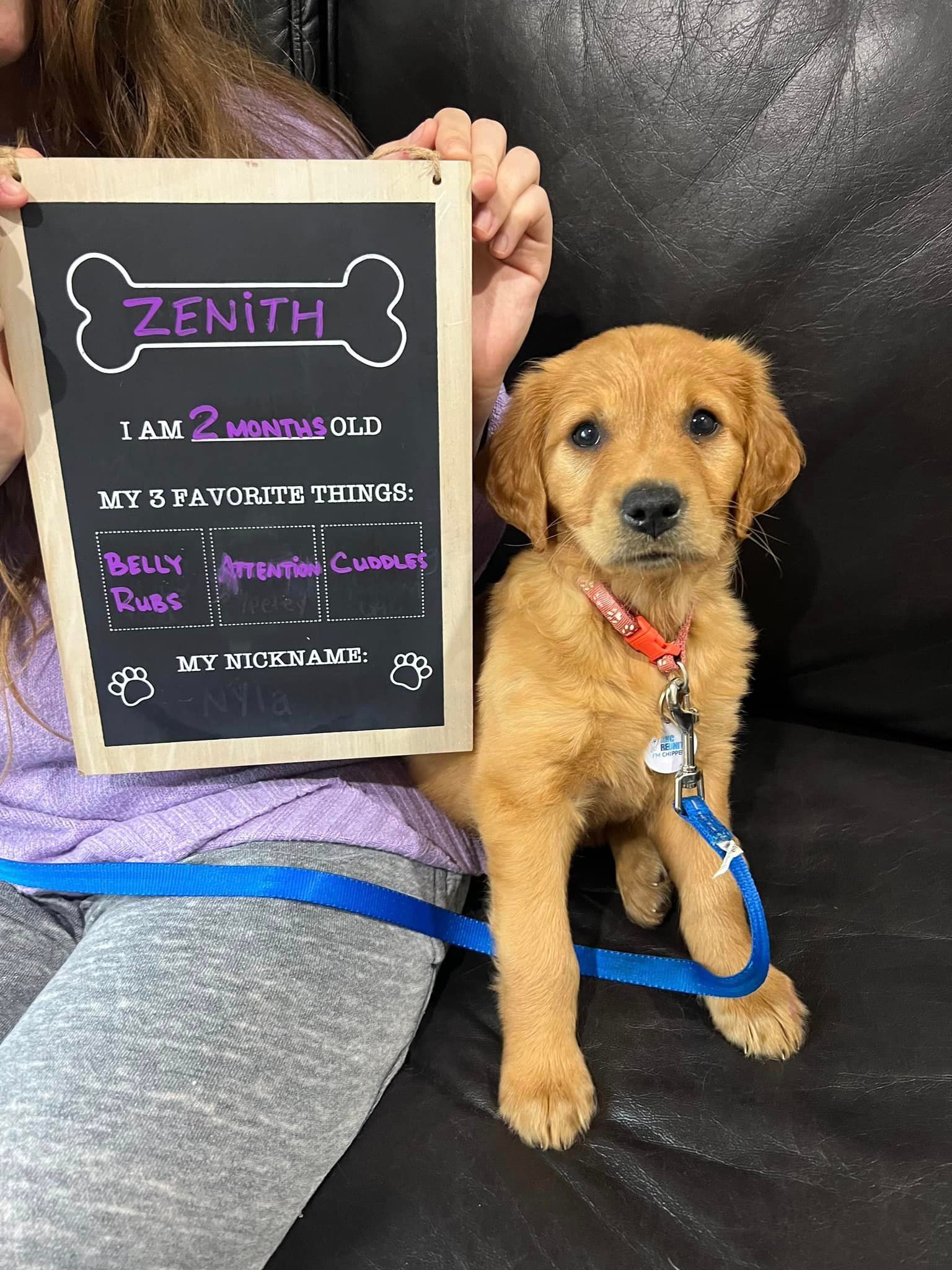 A woman is holding a chalkboard with a picture of a puppy on it.
