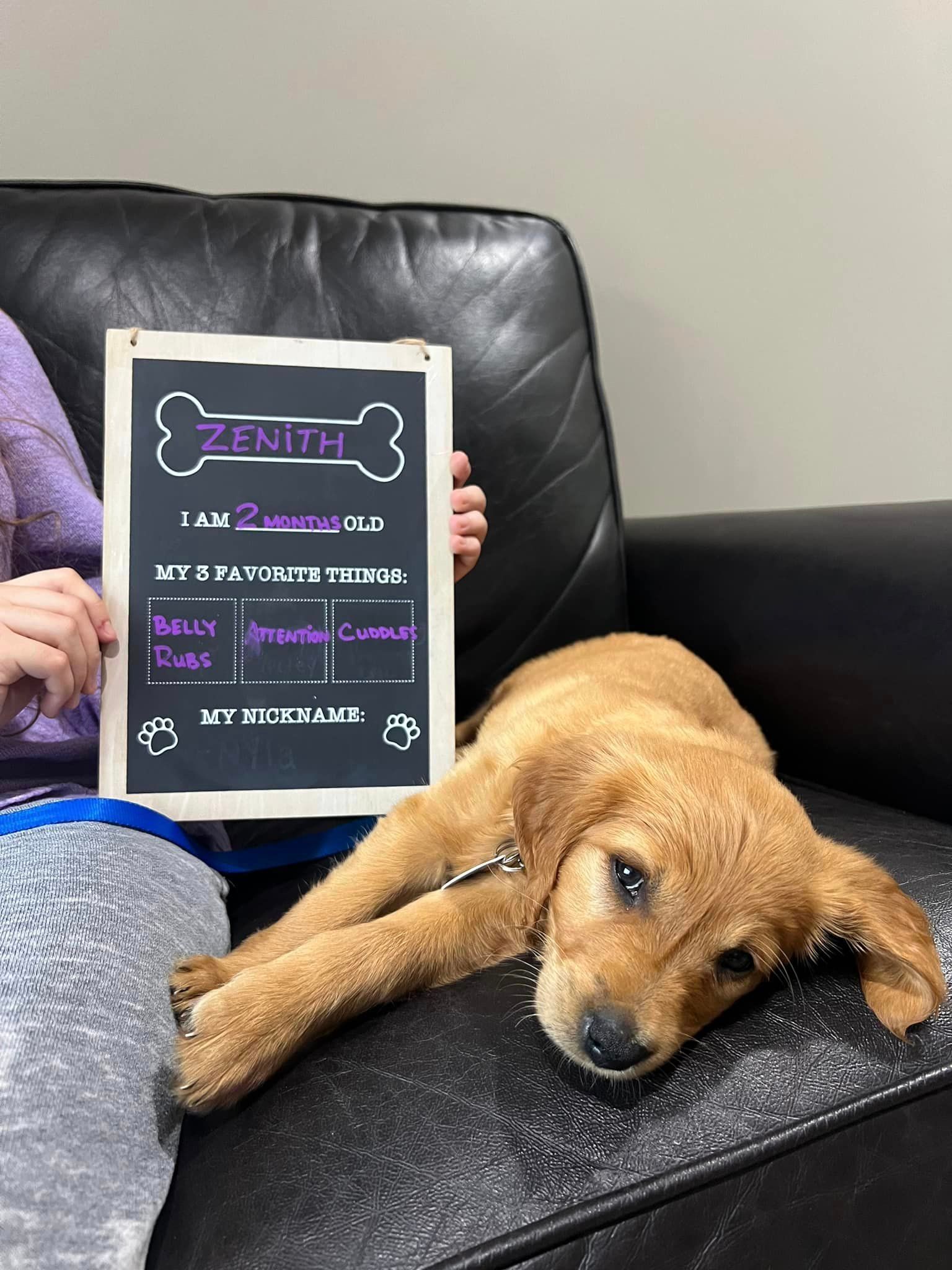 A person is holding a sign next to a puppy on a couch.
