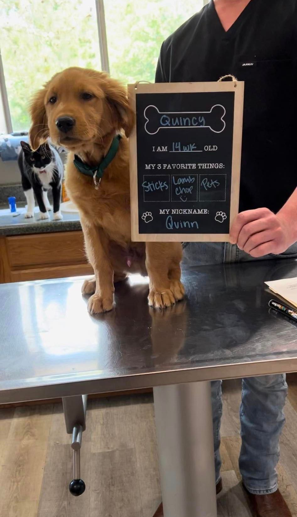 A man is holding a chalkboard with a dog on it.