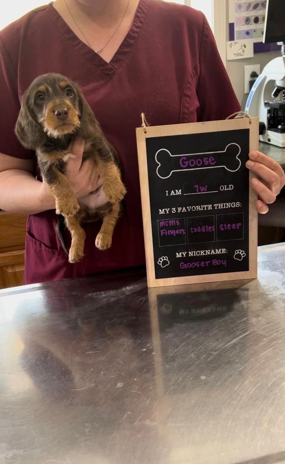 A woman is holding a puppy and a chalkboard with a bone on it.