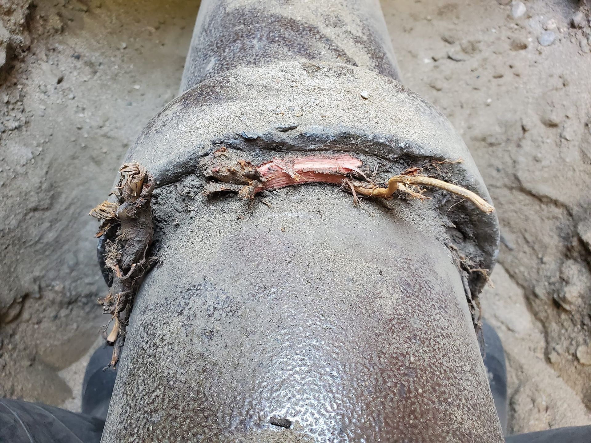 sewer pipe