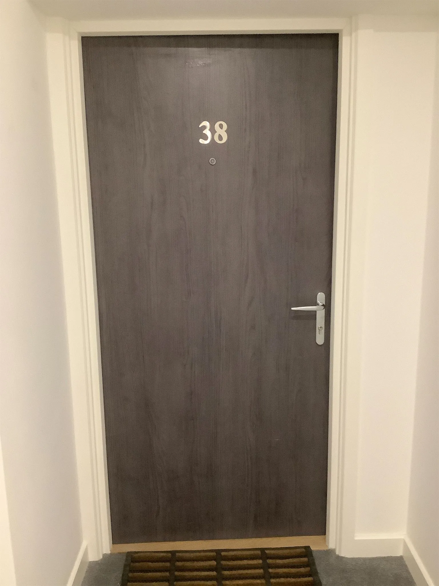 Dark brown wooden front door condition recorded during property inspection