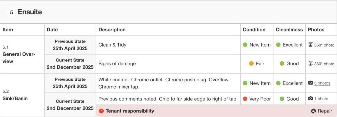 photo from check-out report showing signs of damage as there is a chip to the sink