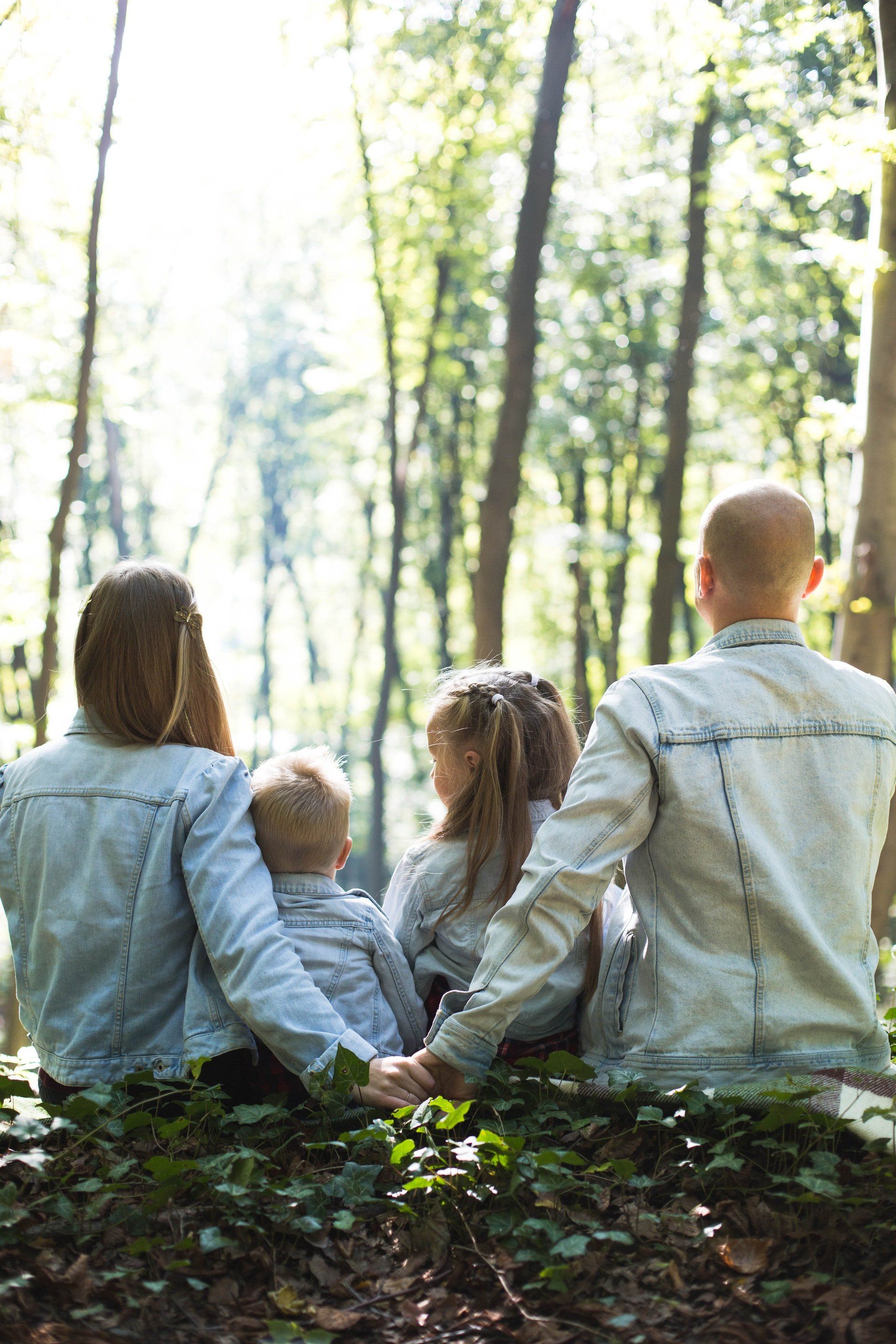 Family of four, backs to camera, sitting in sunlit woods.  They wear matching denim shirts, holding hands.