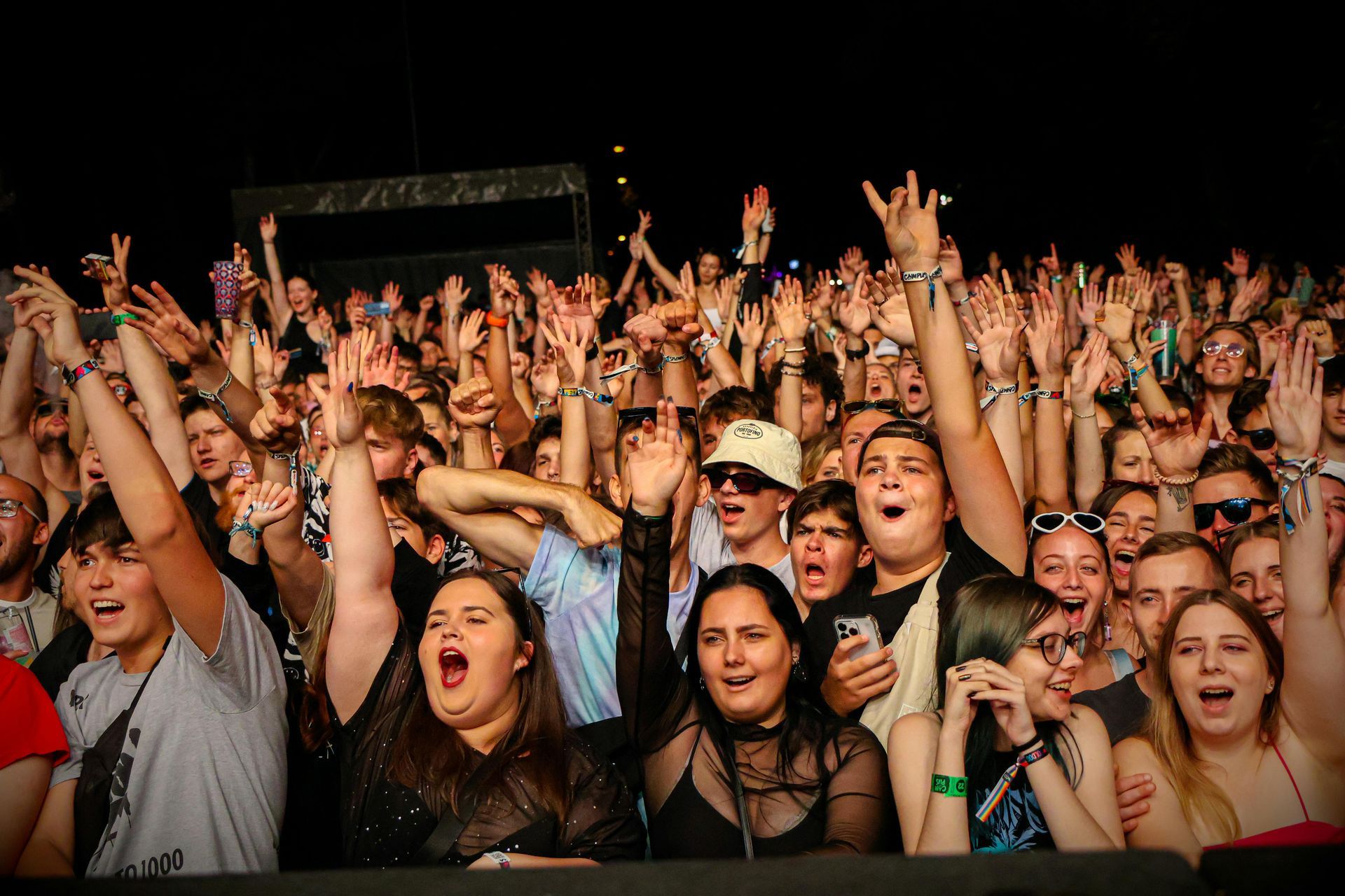 Crowd at a concert with hands raised, cheering and singing in front of a stage