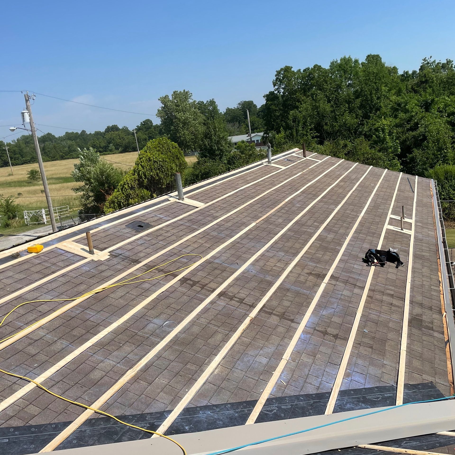 A residential roof under repair with wooden furring strips laid over felt paper, a black dog resting on the surface.