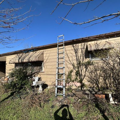 An extension ladder leans against the beige exterior wall of a house under a clear blue sky, surrounded by overgrown plants.