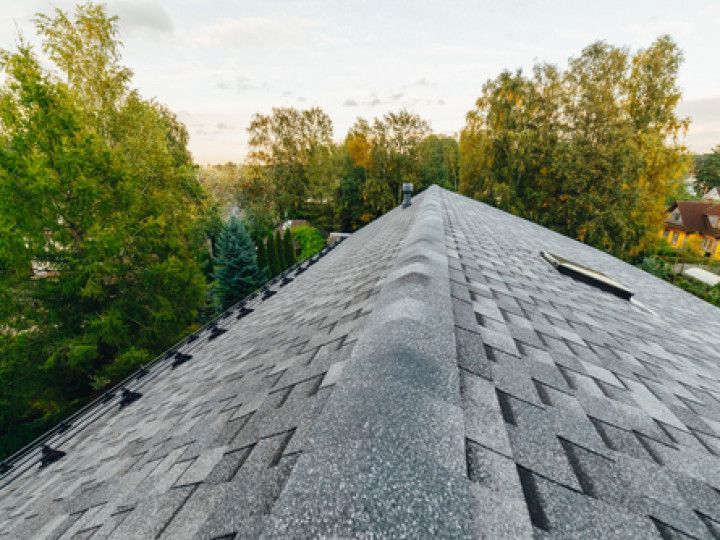 A high-angle view looking down the gray shingled ridge of a roof, flanked by trees under a soft, golden-hour sky.